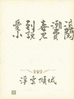 爱到春潮滚滚来小说免费阅读