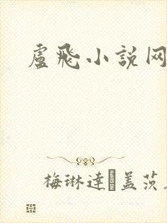 卢飞小说网