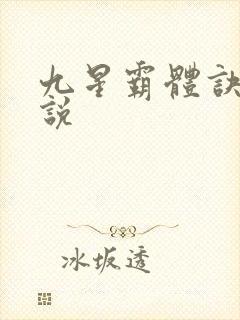 九星霸体诀 小说