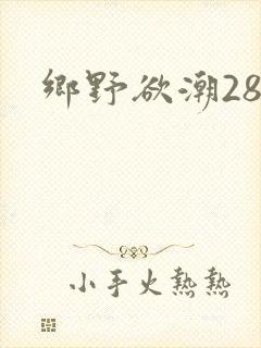 乡野欲潮28章封面