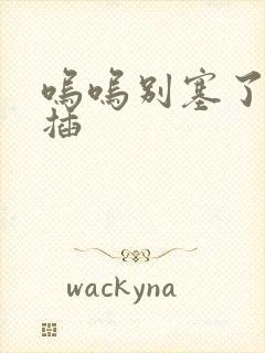 呜呜别塞了啊抽插