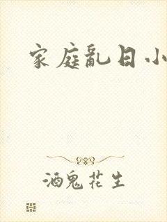 家庭乱日小说