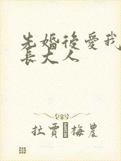 先婚后爱我的市长大人