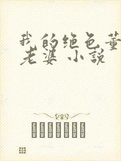 我的绝色董事长老婆 小说