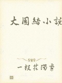 大团结小说下载