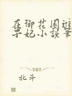 在御花园进入太子妃小说笔趣阁