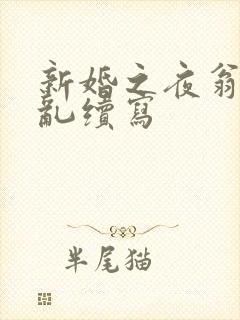 新婚之夜翁莹情乱续写