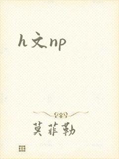 h文np封面