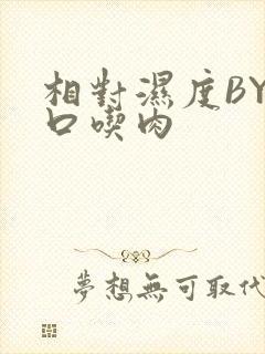 相对湿度BY大口吃肉