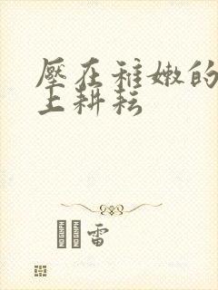 压在稚嫩的身体上耕耘