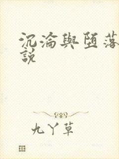 沉沦与堕落的小说