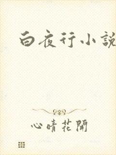 白夜行小说下载