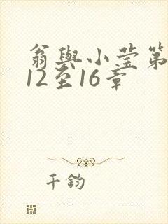 翁与小莹第十部12至16章