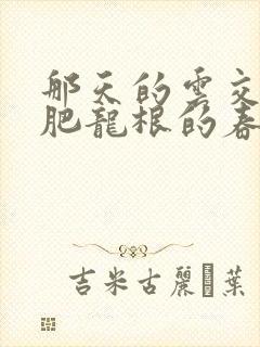 那天的云交雨合肥龙根的春天