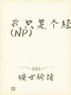 我只是个经纪人(NP)