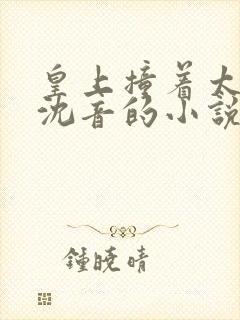 皇上撞着太子妃沈音的小说叫什么