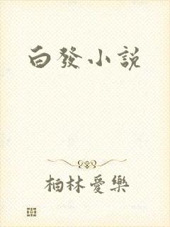 白发小说