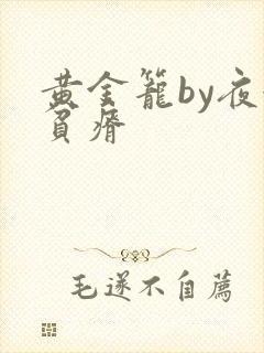 黄金笼by夜很贫瘠