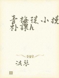 青梅从小摸到大补课h