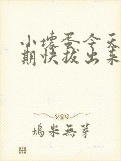 小坏蛋今天危险期快拔出来