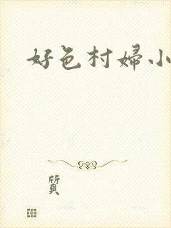 《好色村妇小银贼》小说封面