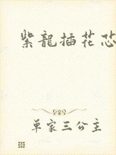 紫龙插花芯方正