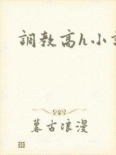 调教高h小说封面