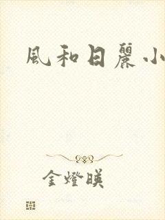 风和日丽小说