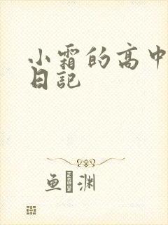 小霜的高中成长日记