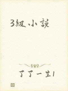 3级小说