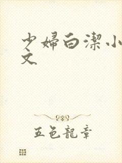 《少妇白洁小说全文》小说封面