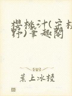 樱桃汁(宋枝江野)笔趣阁