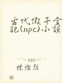 古代假千金挨日记(npc)小说