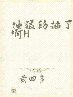 他猛的插了进去啊H