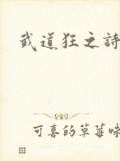 《武道狂之诗》小说封面