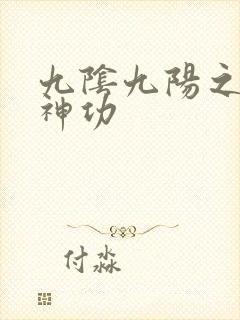 九阴九阳之阴阳神功