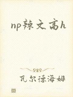 np辣文高h