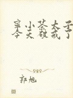 宁小茶太子殿下今天破戒了吗免费阅读