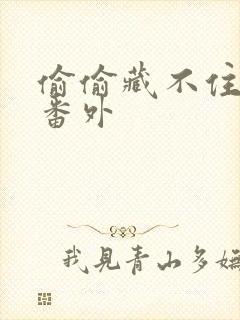 偷偷藏不住新婚番外