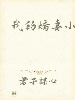 我的娇妻小说