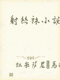 射丝袜小说