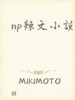 np辣文小说