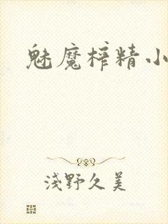 魅魔榨精小说