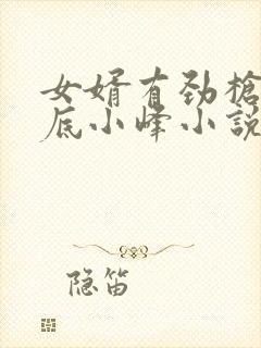 女婿有劲枪枪到底小峰小说