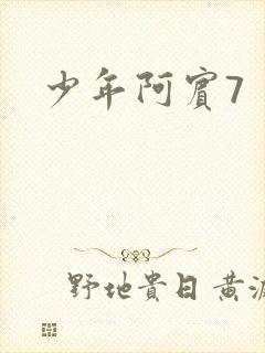 少年阿宾7