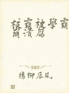 校霸被学霸玩到崩溃腐