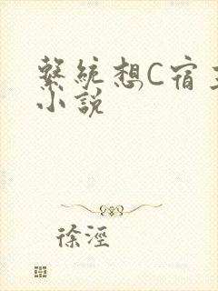 系统想C宿主的小说