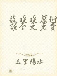 苏暖暖厉衍琛小说全文免费阅读