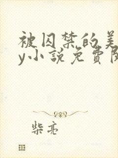 被囚禁的美人by小说免费阅读