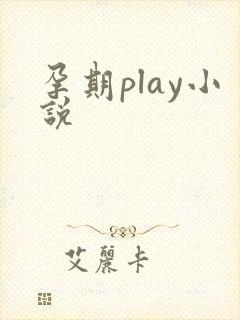 孕期play小说